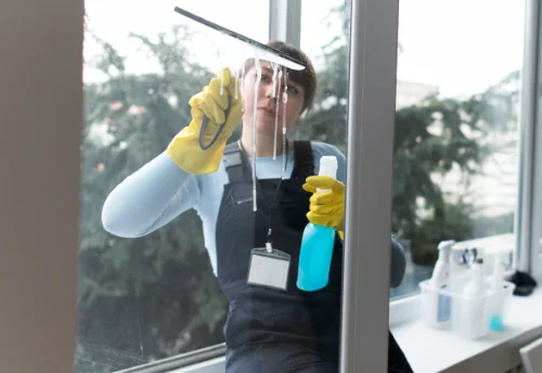 Nettoyage de vitres intérieures et extérieures à Saint-Georges-sur-Moulon